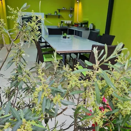 فيلة House *