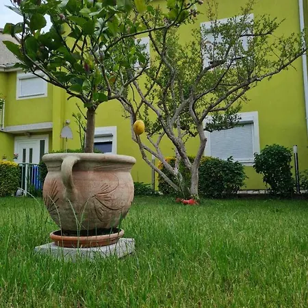 House Villa Pula