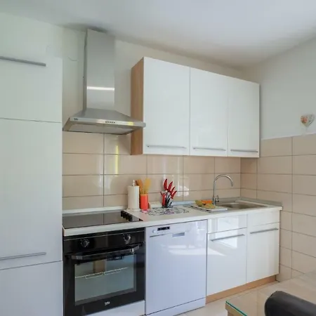 فيلة House